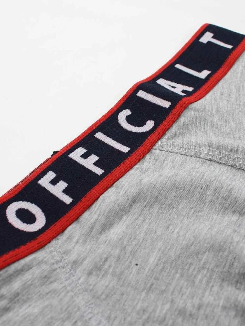 RG512 Sous vetement homme imprimé logo en coton Gris