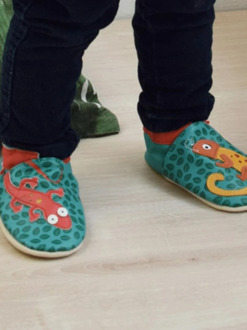 Salomon le caméléon   Vert