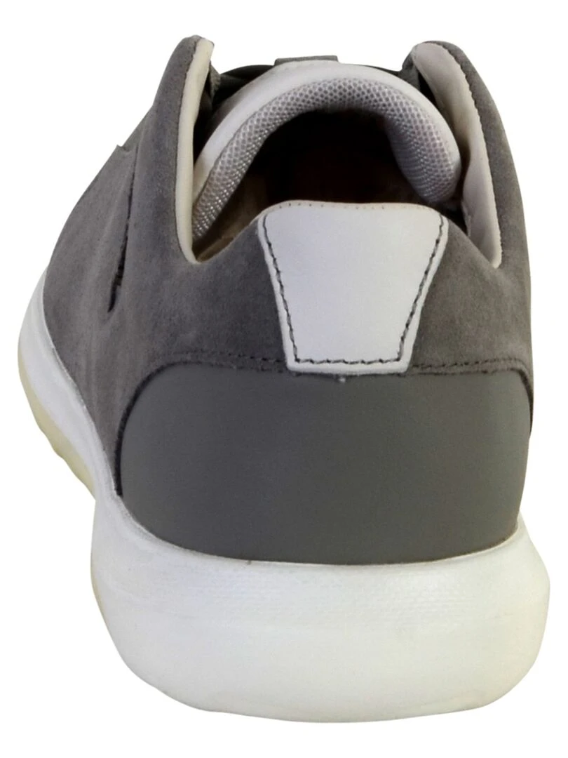 Basket Geox U Nexside A   Gris