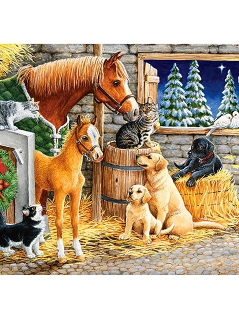 Puzzle 300 pièces ! Les amis rassemblés N/A