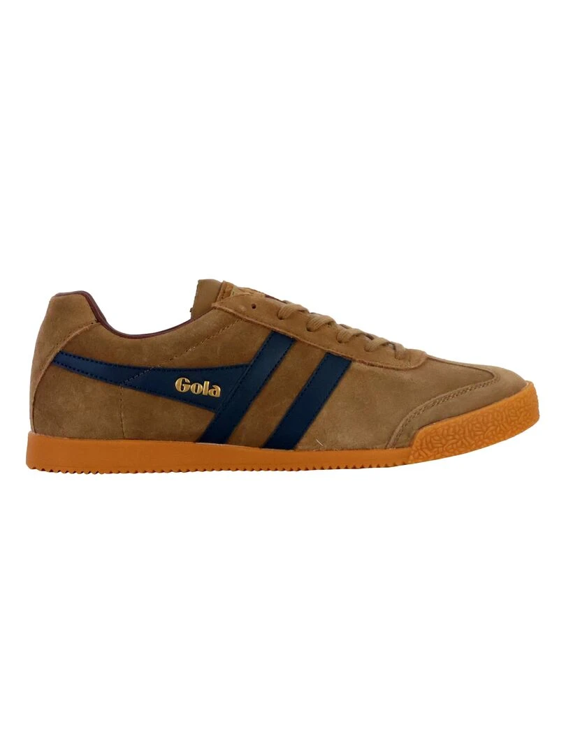 Basket Gola Harrier Suede Marron