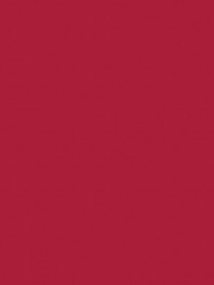 Peinture acrylique opaque brillante Rouge velours 45 ml N/A