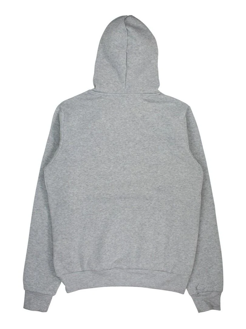 Nasa Sweat homme imprimé logo Gris