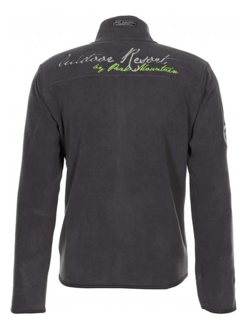 Polaire garçon ECONAN PEAK MOUNTAIN Gris