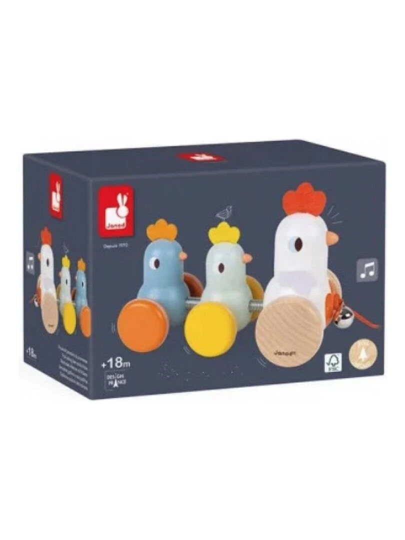 Poule Et Poussins A Promener N/A