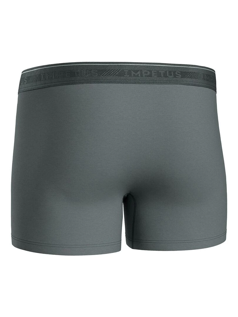 Pack de 3 boxers en coton bio   Gris