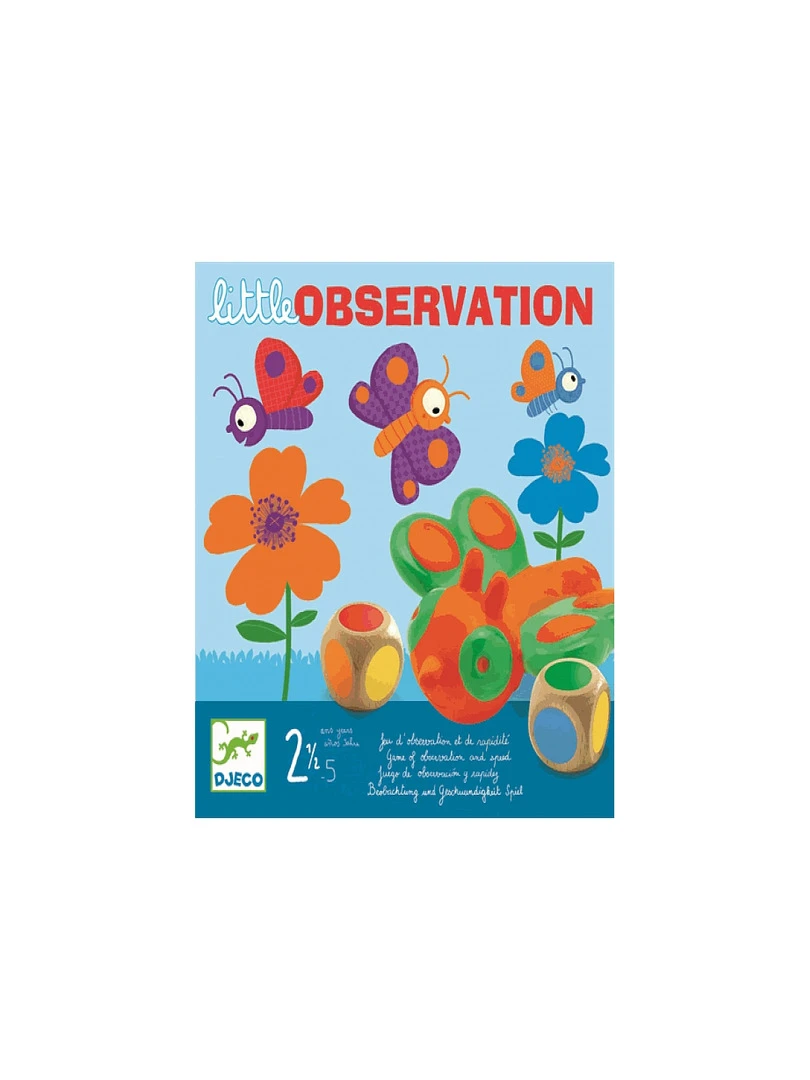 Jeu Little Observation 'djeco' N/A