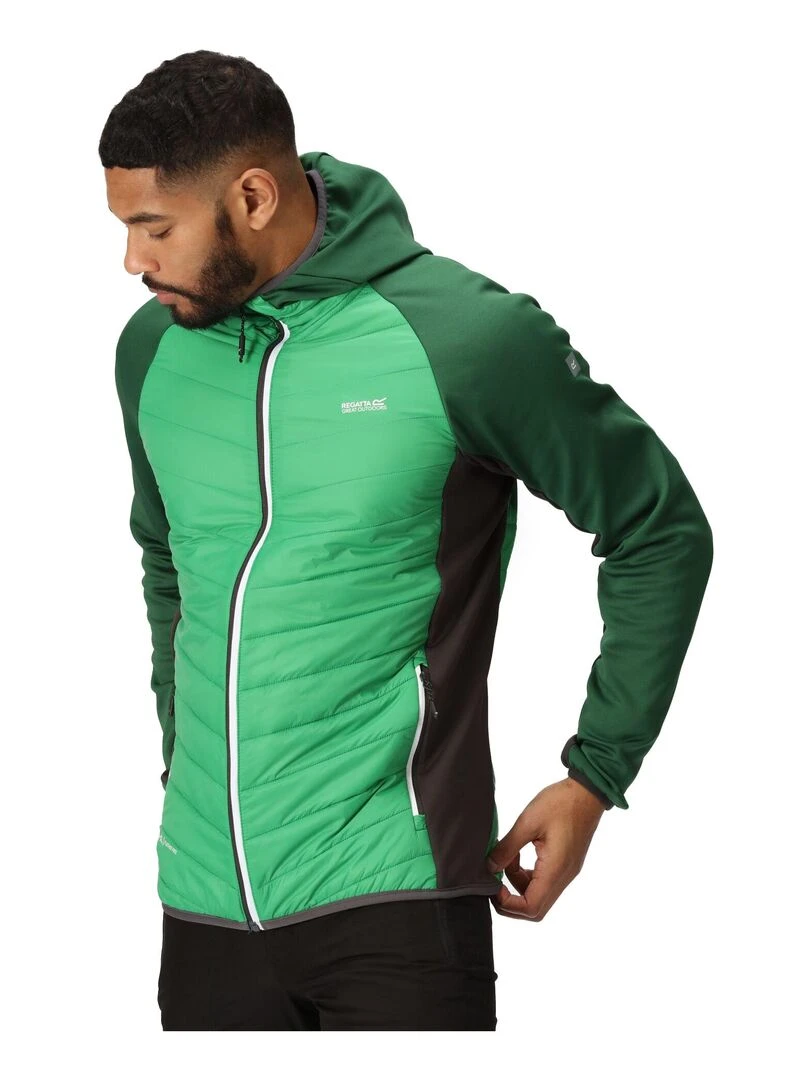 Regatta   Veste hybride ANDRESON   Vert