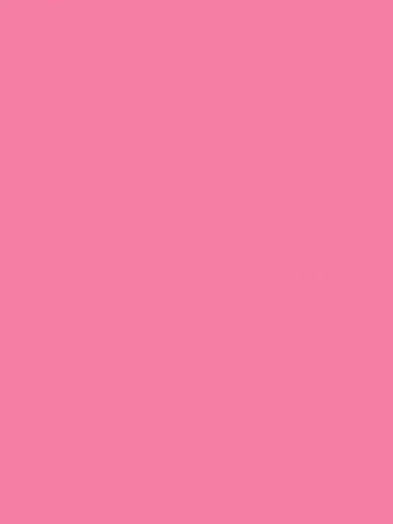 Peinture acrylique opaque mate Rose bengale 45 ml N/A