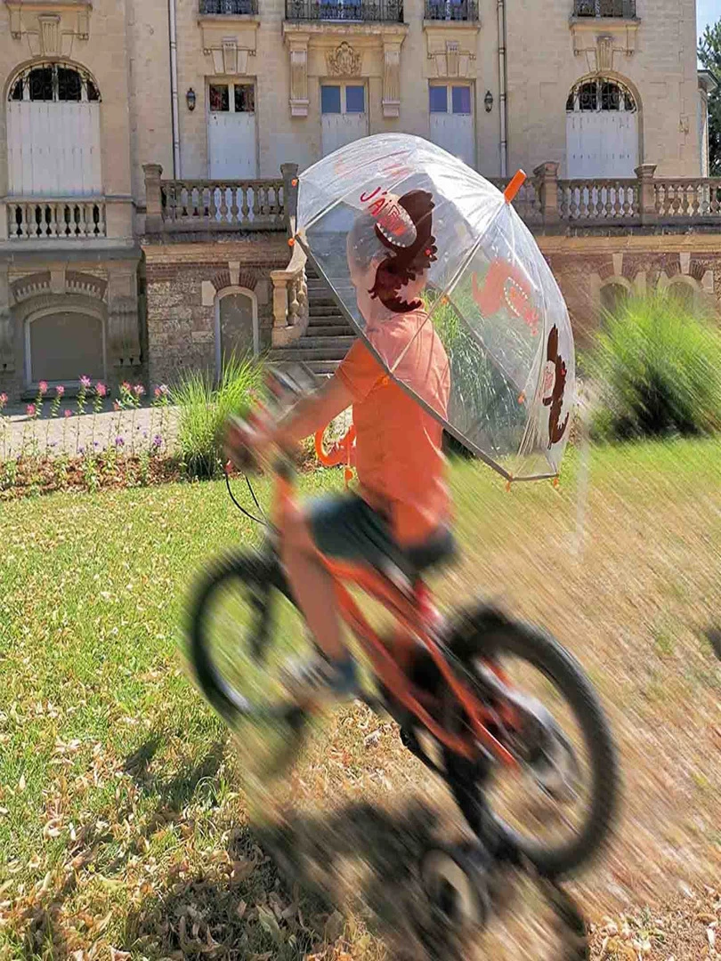 Parapluie Enfant Transparent Dinosaure N/A