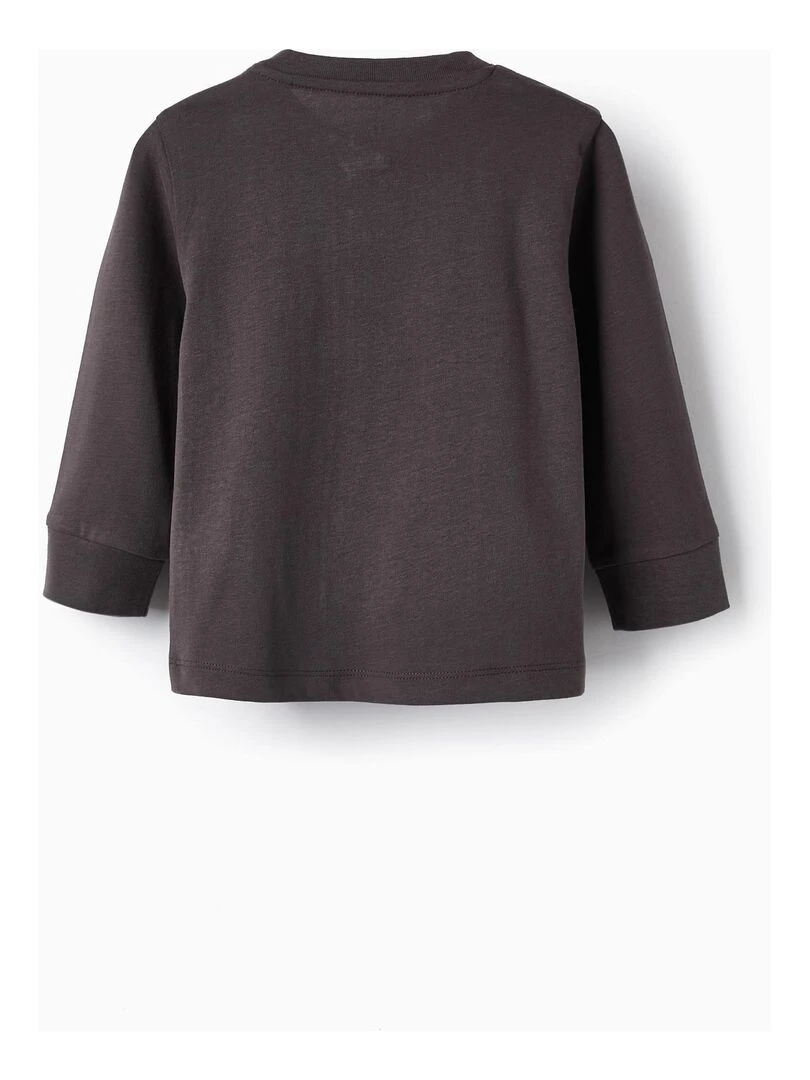 Cotton T Shirt with Boat Sail Plush for Baby Boys 'Viking' manches longues NORTHERN CALLING Gris foncé
