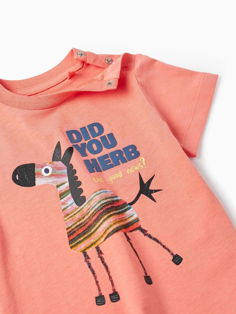 T shirt à manches courtes pour bébé garçon 'Did You Herb' manches courtes NATURE TAKEOVER   Blanc Orange clair