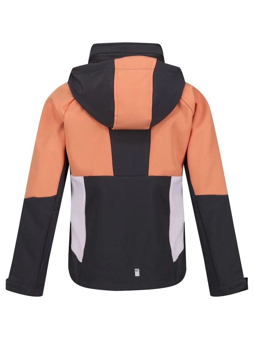 Regatta Veste softshell HAYDENBURY Gris Orange