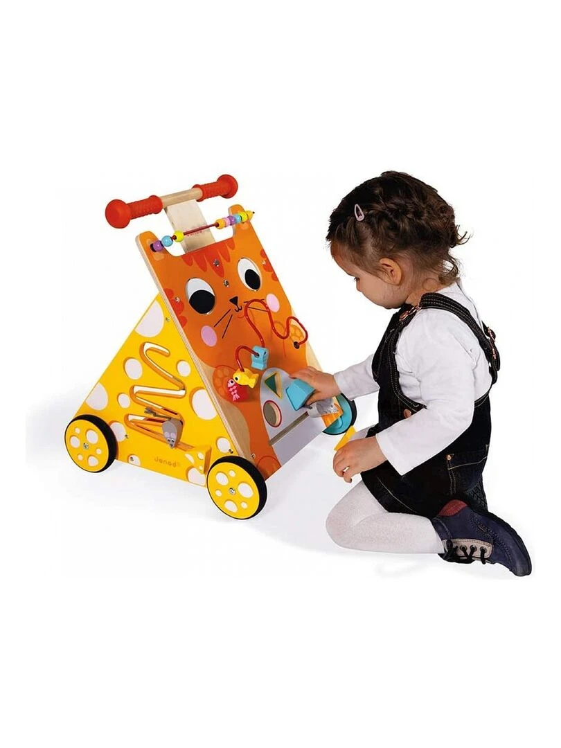 Chariot De Marche Multi Activites Chat   N/A