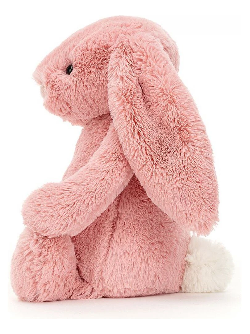 Bashful Petal Bunny Original   Rose