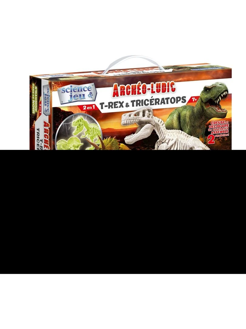 Science et jeu : Archéo ludic : T Rex et Tricératops phosphorescents N/A