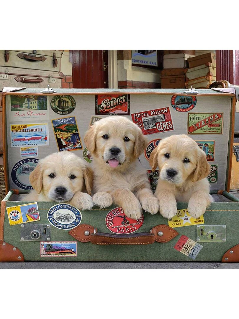 Puzzle 500 pièces : Des chiots dans les bagages N/A