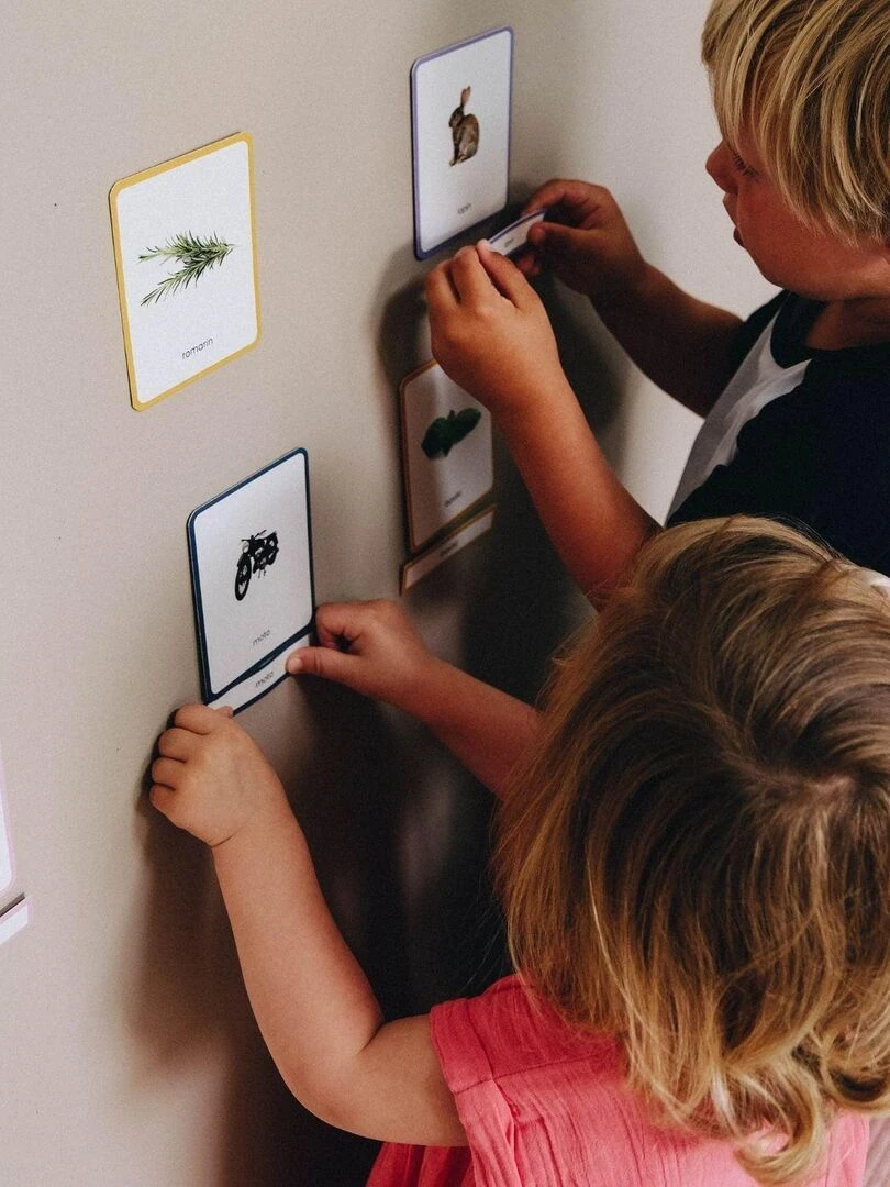 Giga Mondy  600 cartes classifiées Montessori   N/A