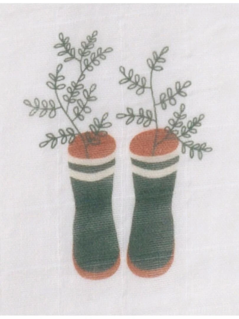 Langes en coton biologique SAUTHON Vert tilleul