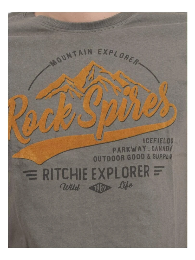 T shirt col rond pur coton JUPITOLI   Kaki