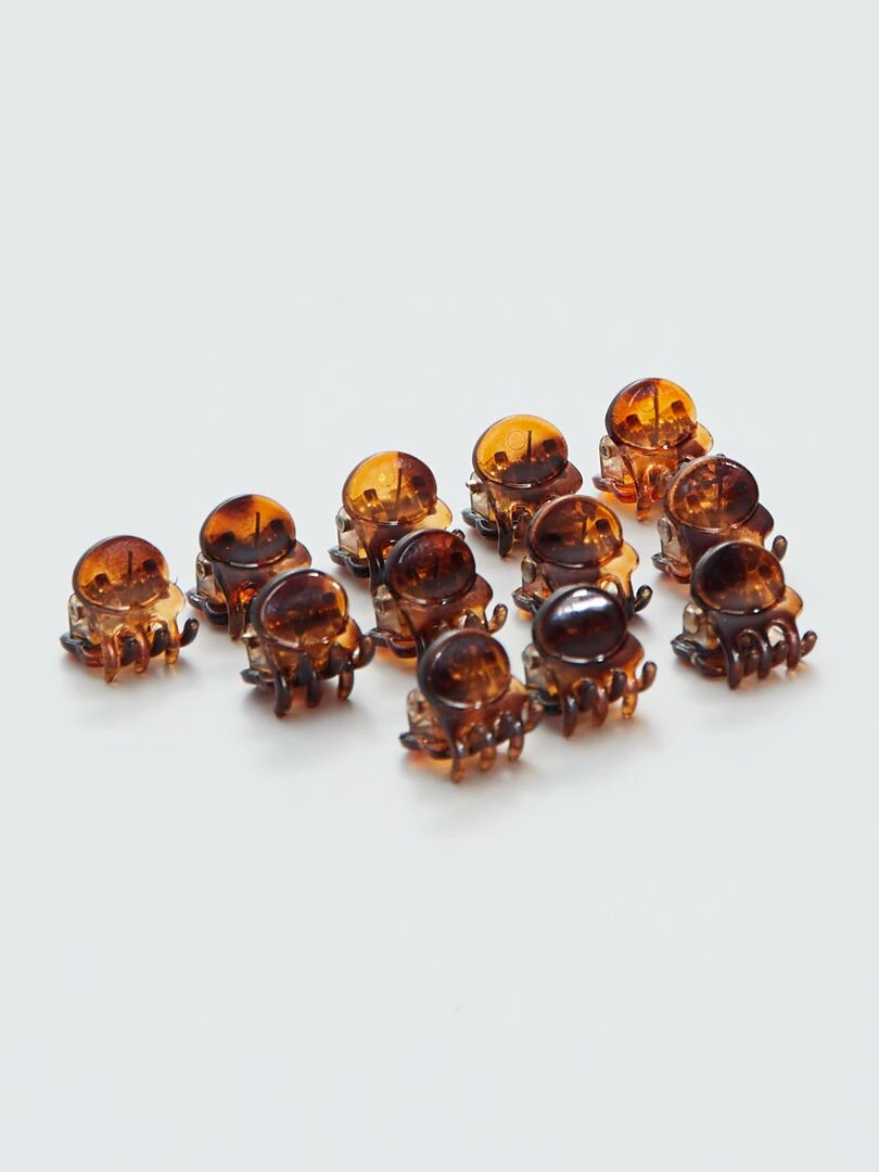Lot de 12 pinces crabes   Marron