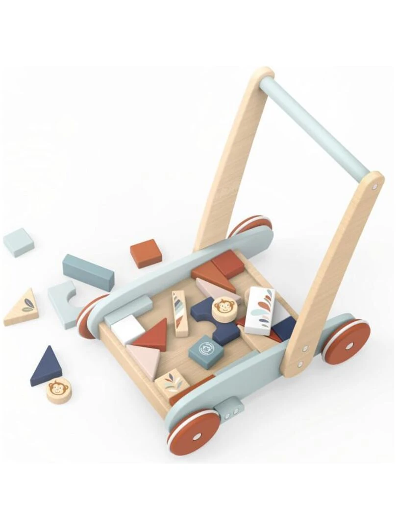 Chariot de marche et jeu des formes 27 blocs   Speedy Monkey   N/A