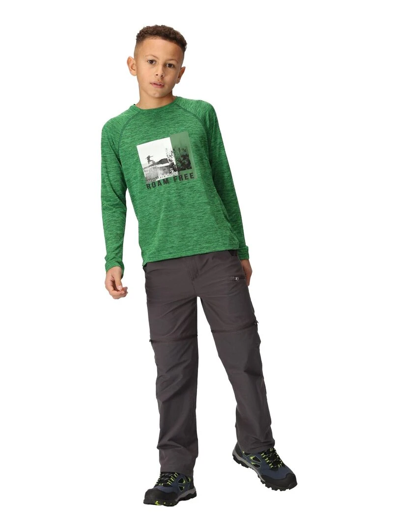 Regatta   T shirt BURNLEE ROAM FREE   Vert foncé