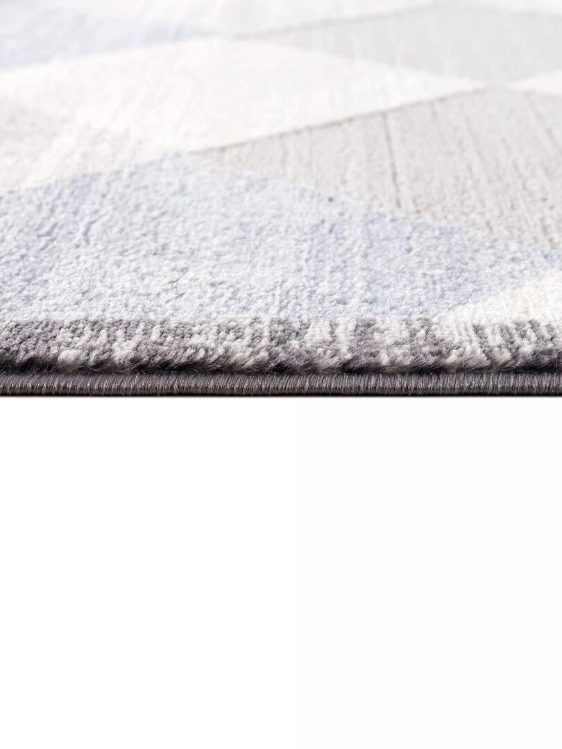 Tapis salon HARLE   Gris