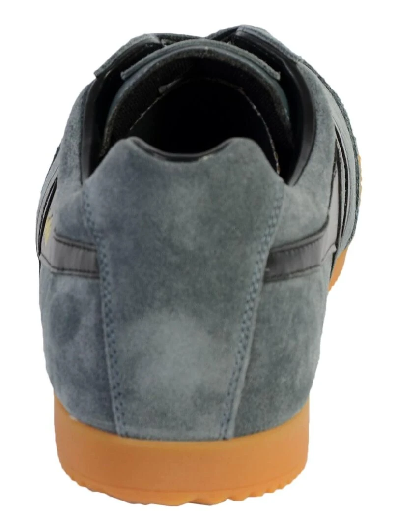 Basket Gola Harrier Suede   Gris
