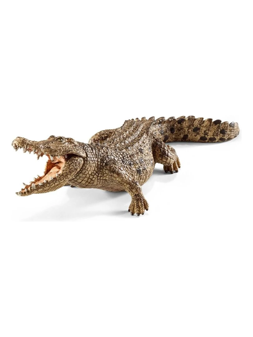 14736 Crocodile   N/A