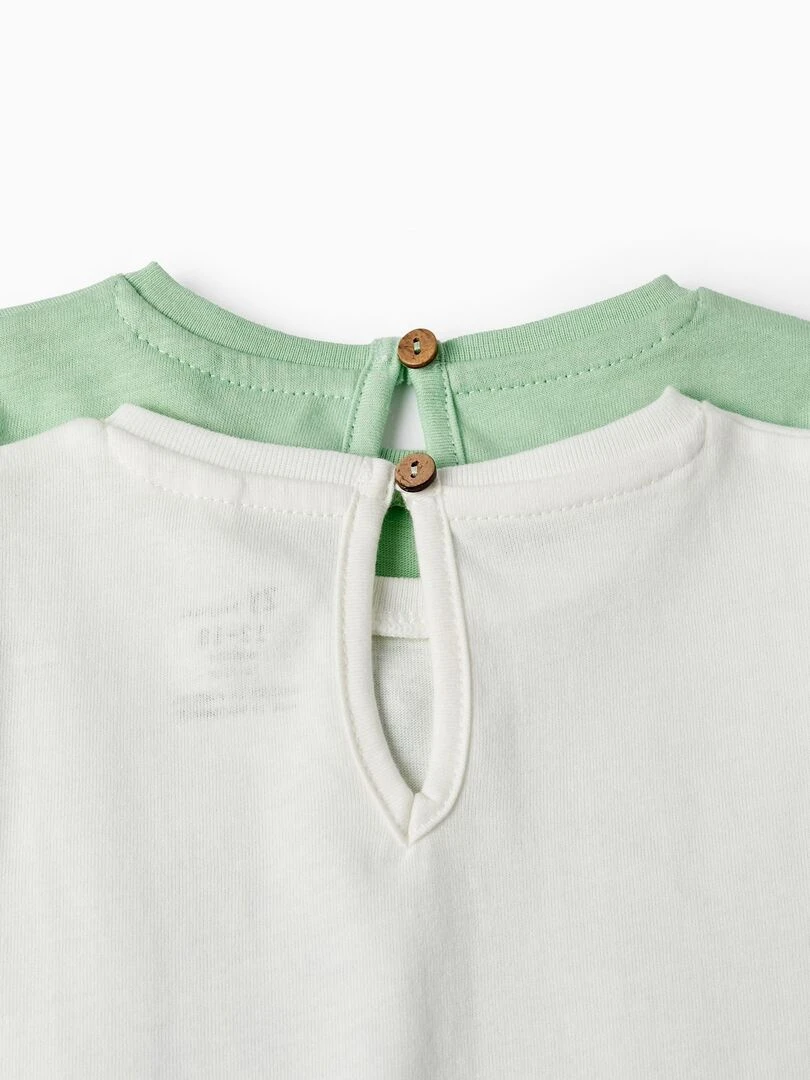 Pack 2 T shirts à manches longues pour bébé fille manches courtes THE WAVE TRIBE   Vert clair