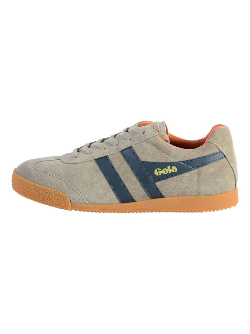 Basket Gola Harrier Suede Multicolore