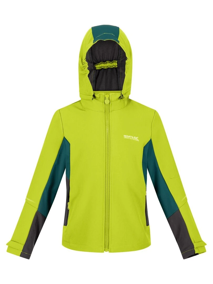 Regatta Veste softshell ACIDITY Vert