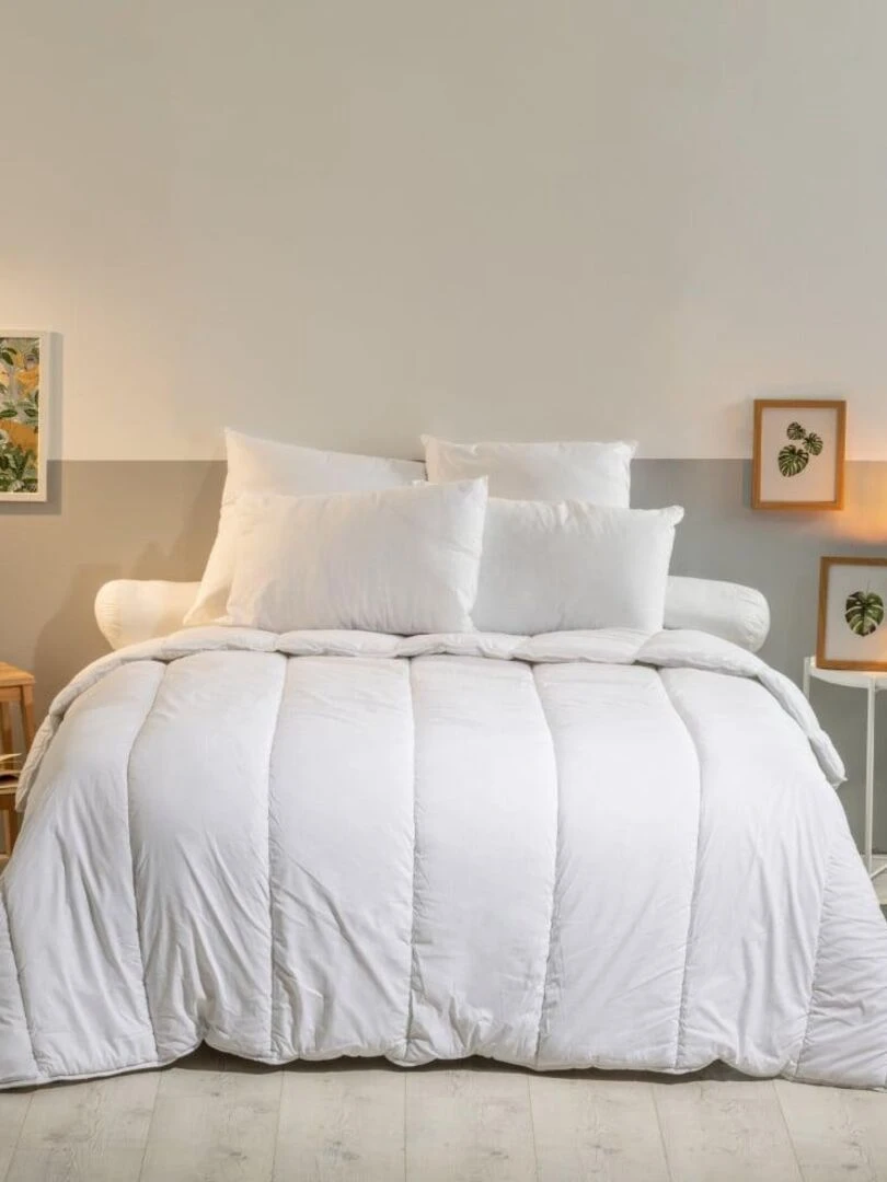 Bleu Câlin Lot de 2 oreillers moelleux Anti punaises de lit Blanc