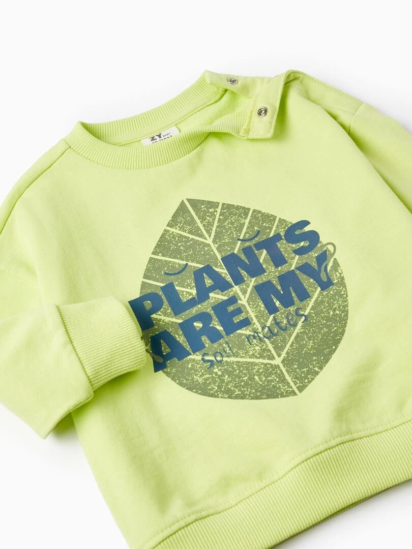 Sweat pour Bébé Garçon 'Les Plantes Sont Mes Compagnons de Sol'  NATURE TAKEOVER   Vert clair