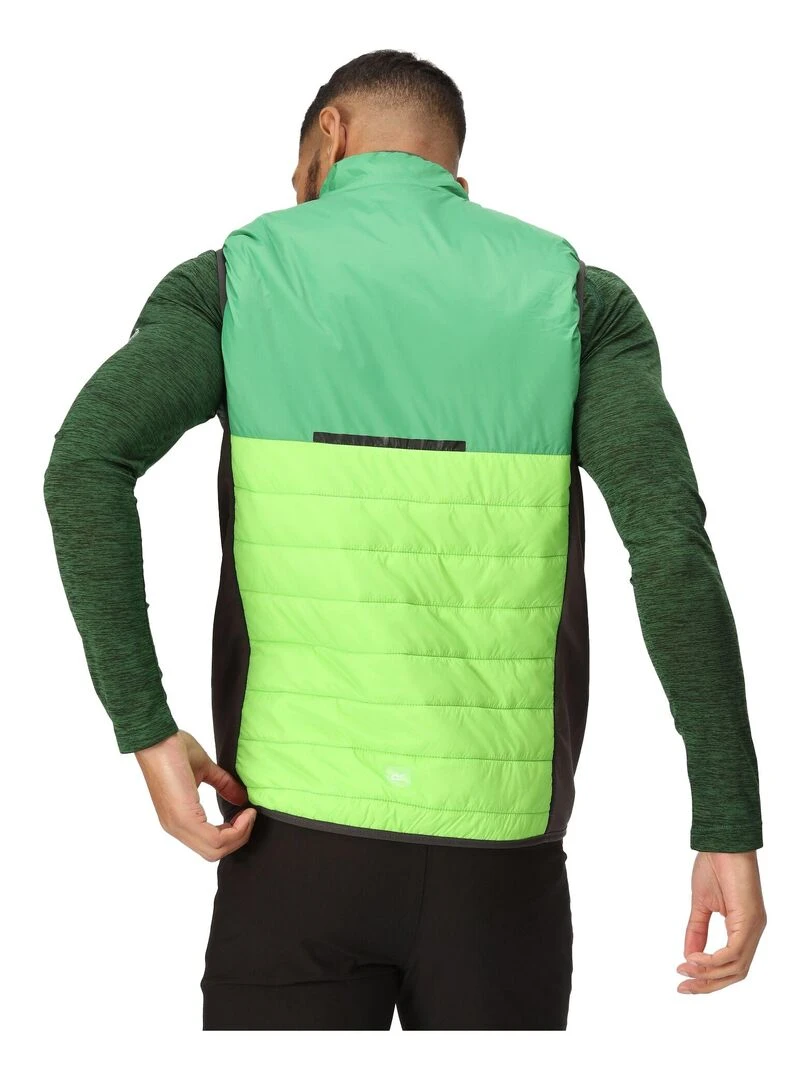 Regatta   Veste sans manches HALTON BAFFLED   Vert clair