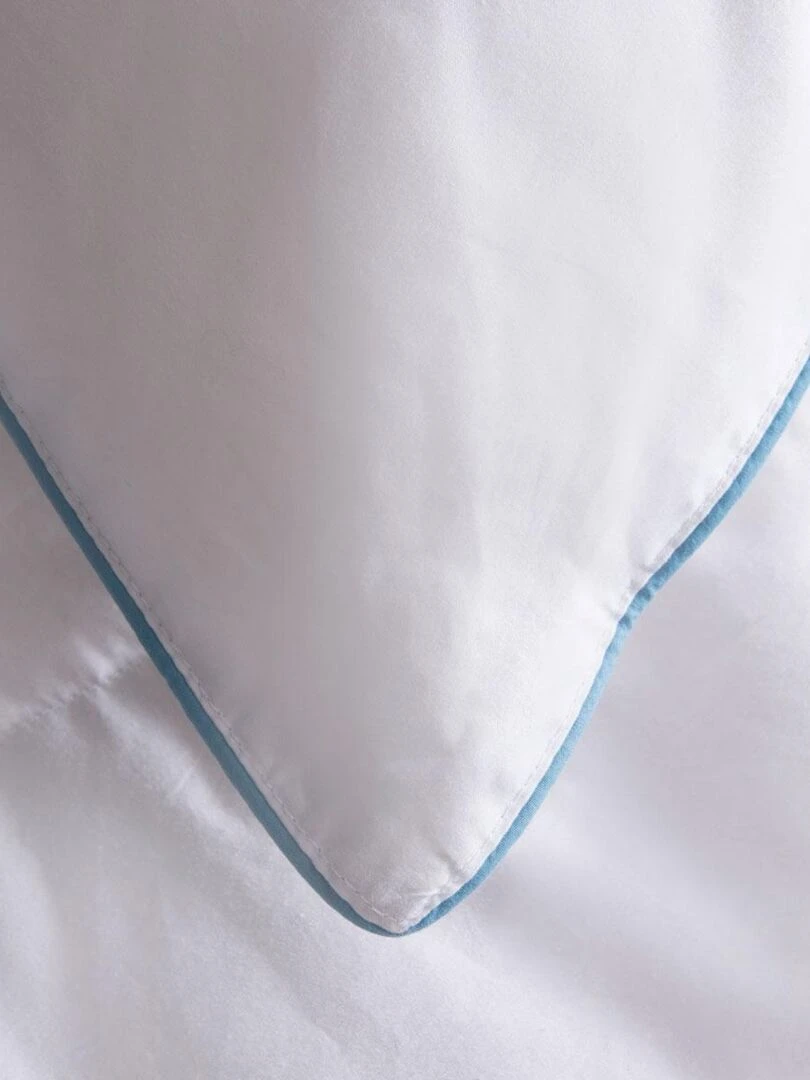 DUNLOPILLO   Oreiller Recycl'Duv   30% Duvet   Medium   Blanc