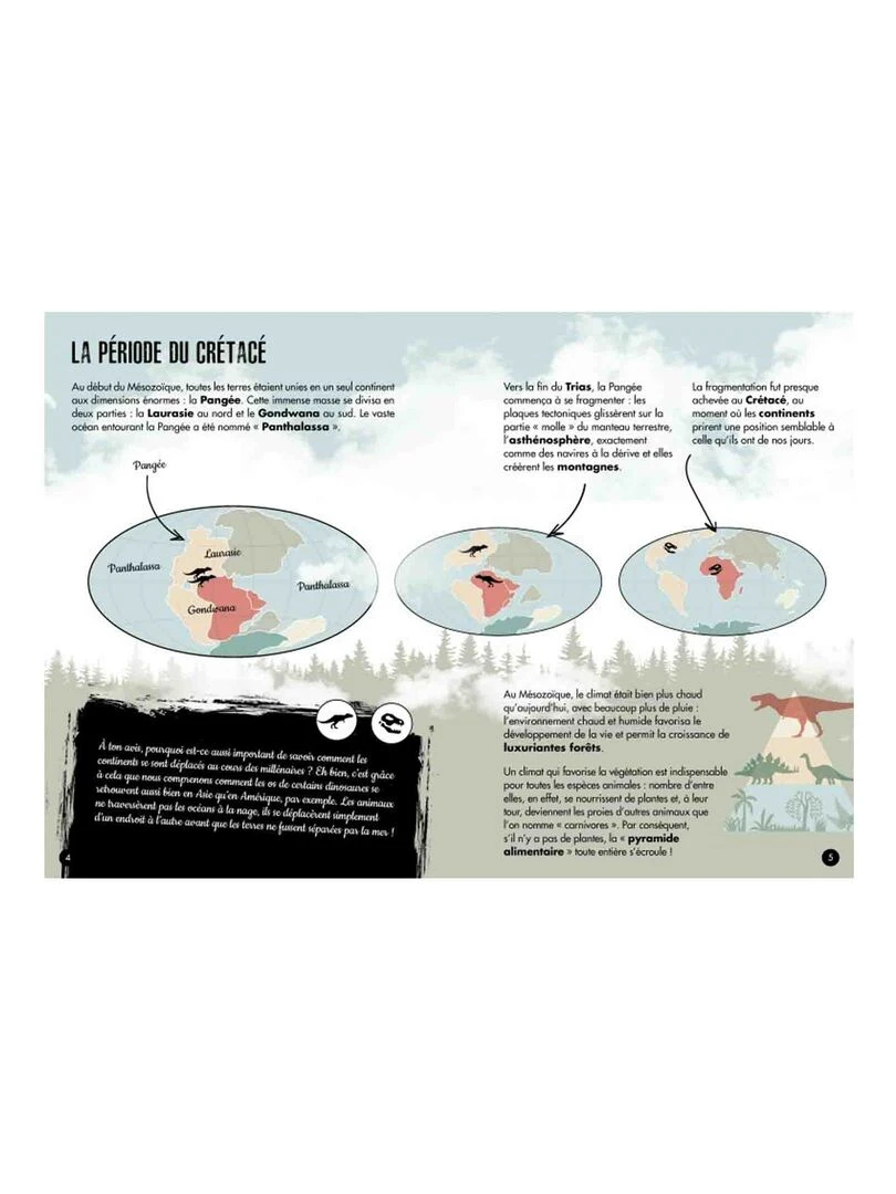 Modèle 3D & livre  Le tyrannosaure   N/A