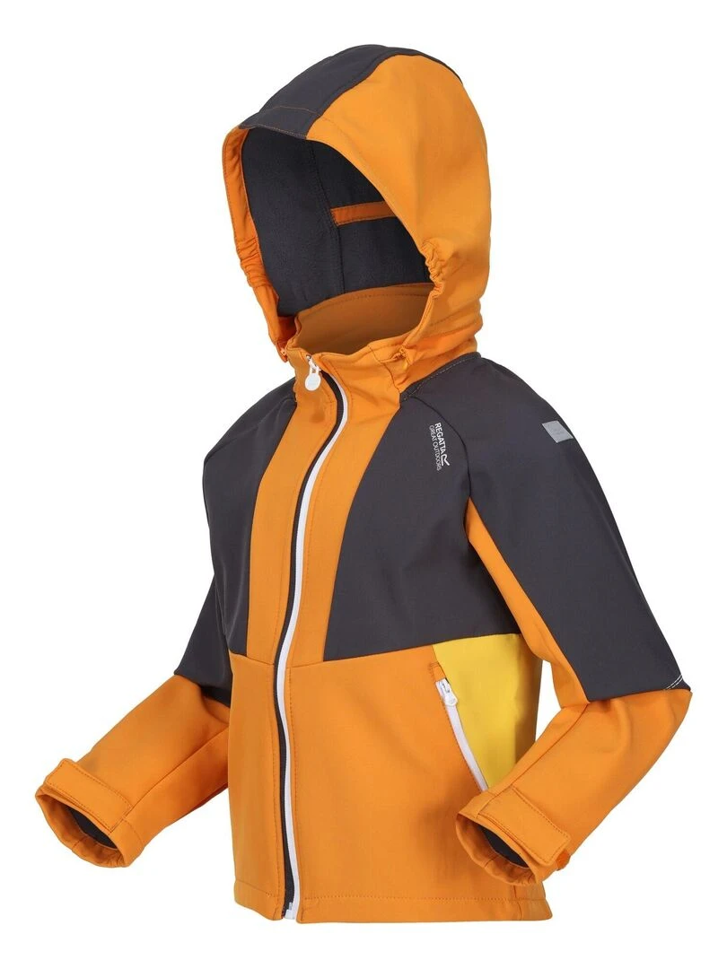 Regatta   Veste softshell HAYDENBURY   Orange mandarine