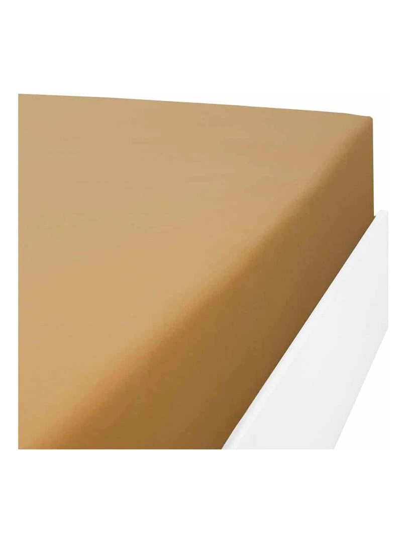 Drap housse coton 57 fils en molleton flanelle TOUDOUX Marron caramel