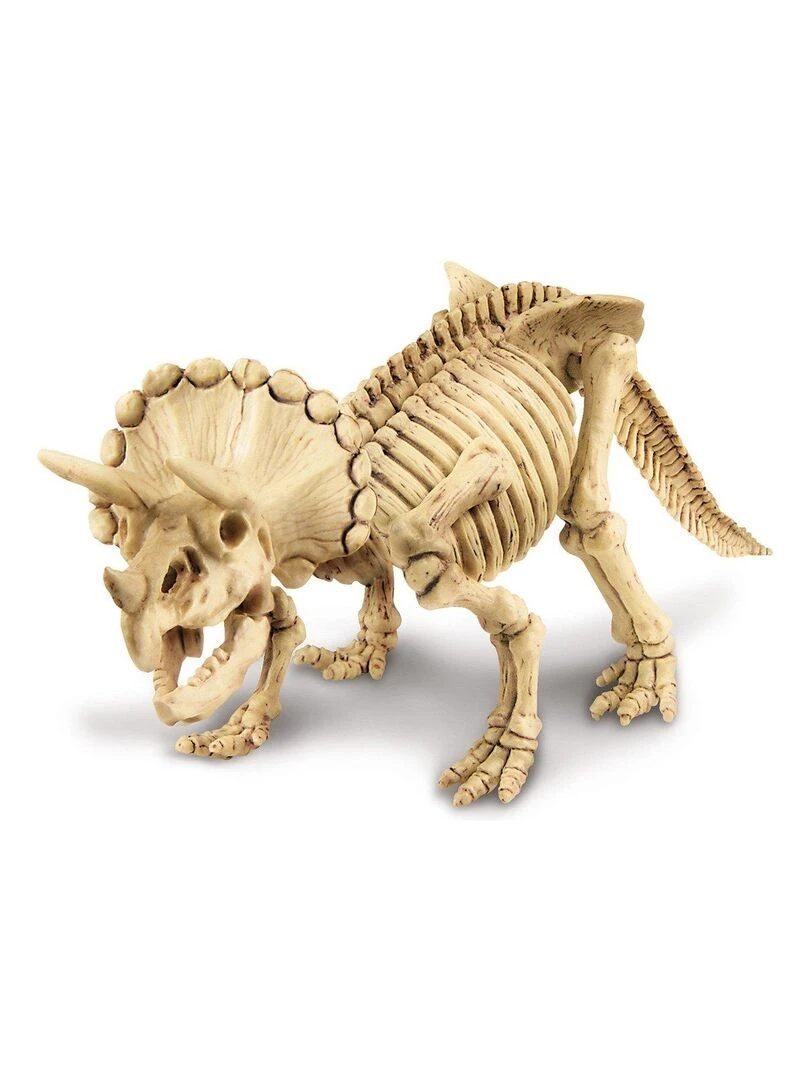 Deterre Ton Dinosaure Triceratops   N/A