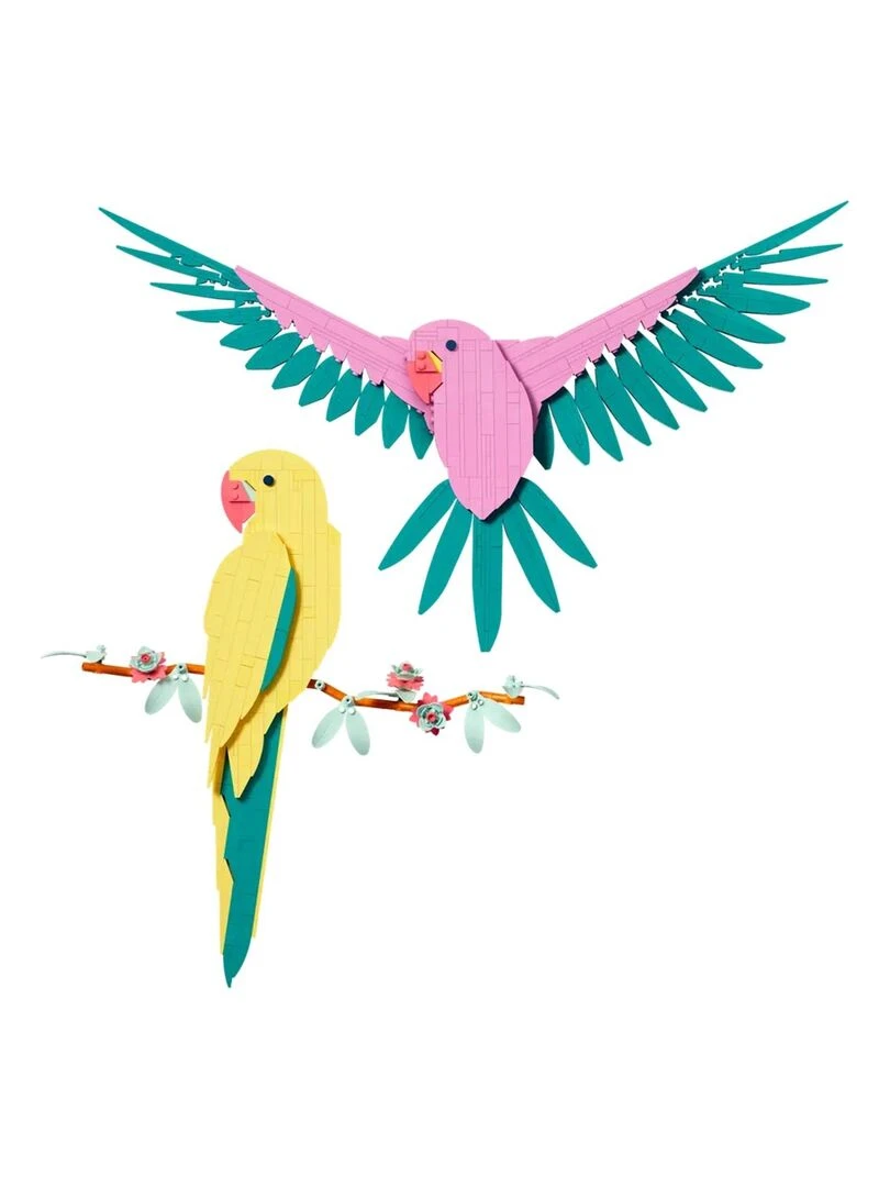 Art La collection Faune – Les perroquets Ara   N/A