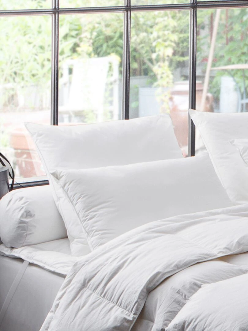 DODO Oreiller naturel 90% duvet de Canard Blanc