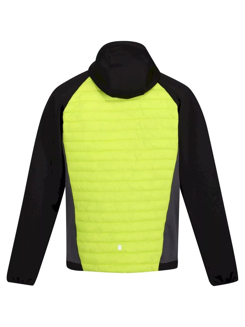 Regatta Veste ANDRESON HYBRID Gris Vert