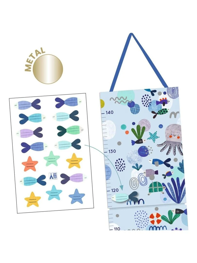 Toise Vie aquatique Multicolore
