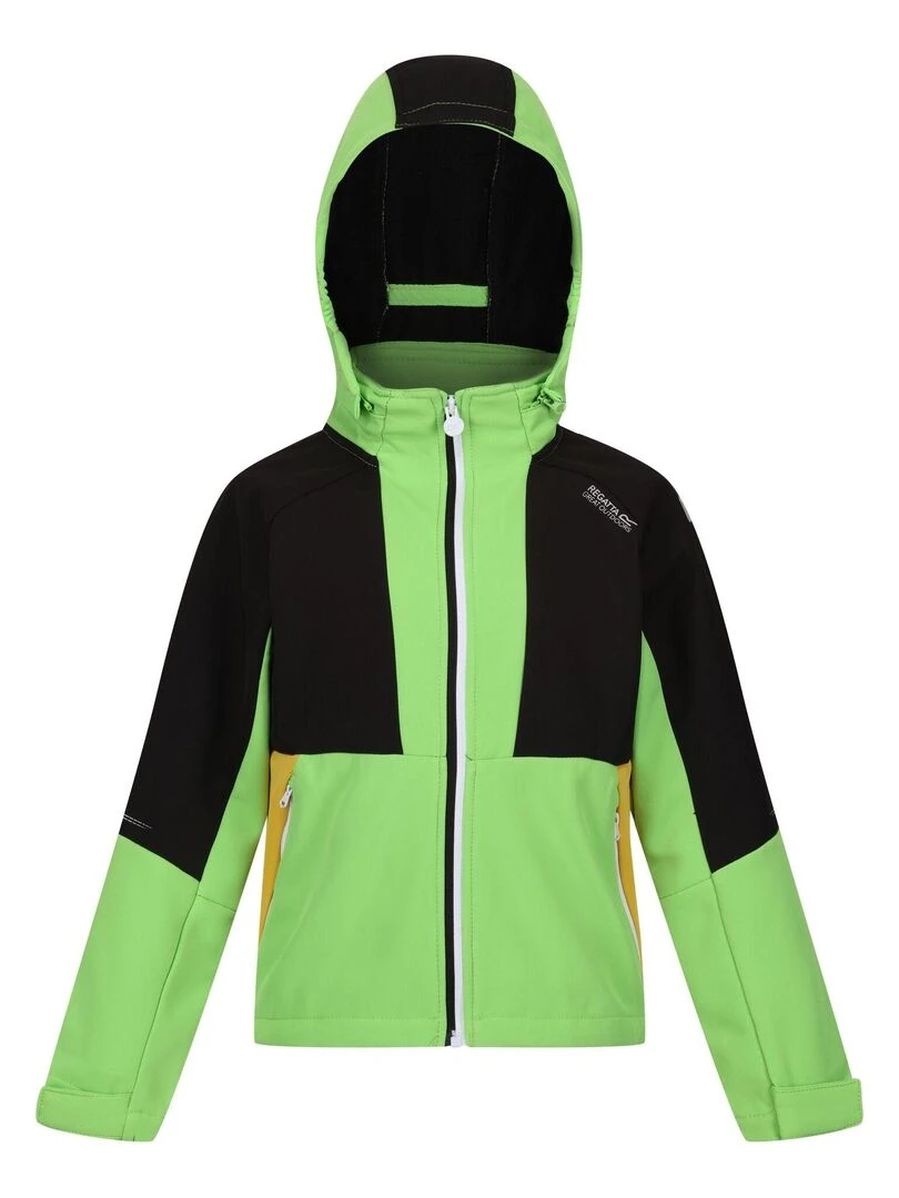 Regatta Veste softshell HAYDENBURY Vert clair