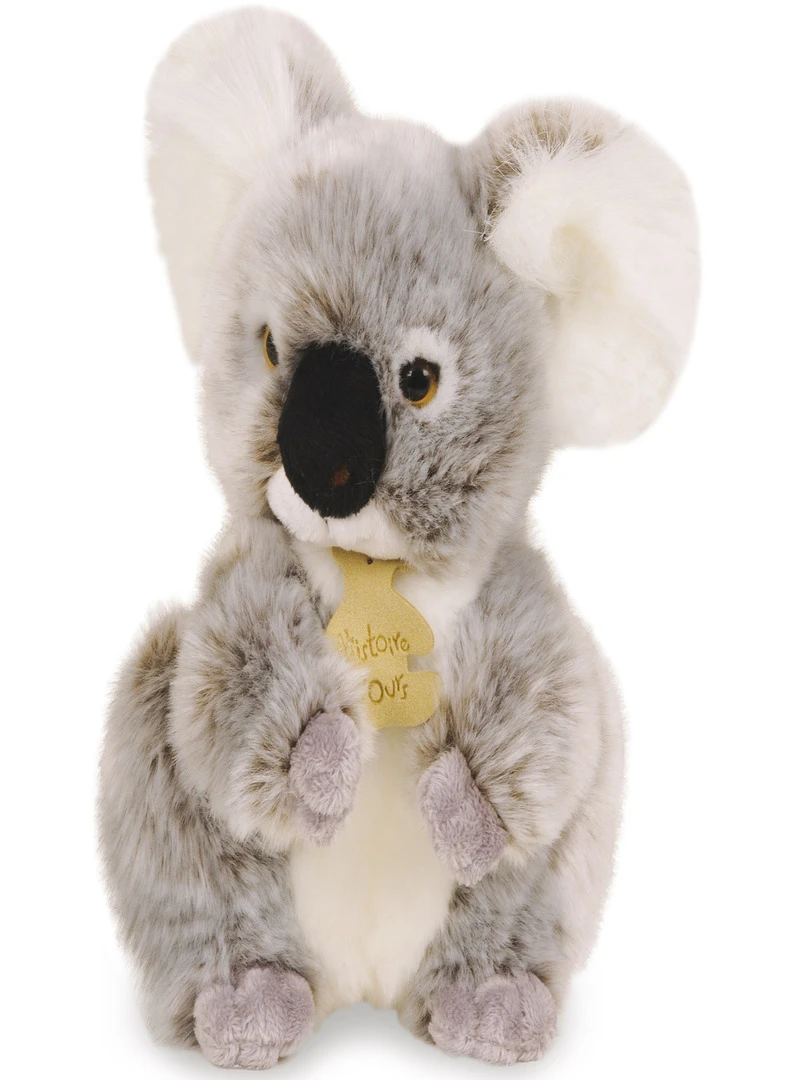 Coffret peluche Koala Les authentiques (25 cm)   Gris