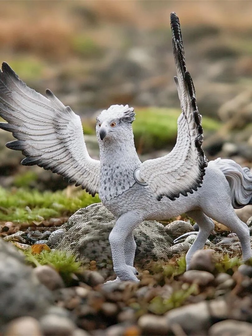 Harry Potter Buck   N/A