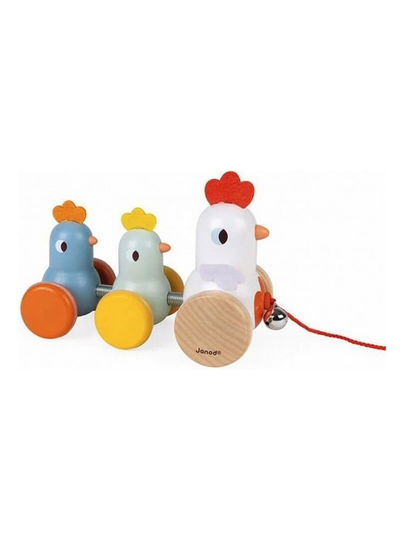 Poule Et Poussins A Promener N/A