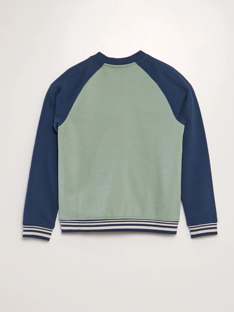 Sweat zippé en molleton fin Vert/bleu